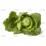 demo-attachment-166-Group-290